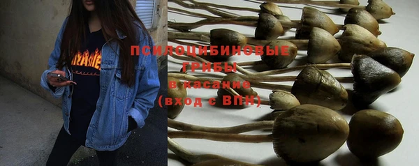 PSILOCYBIN Магадан
