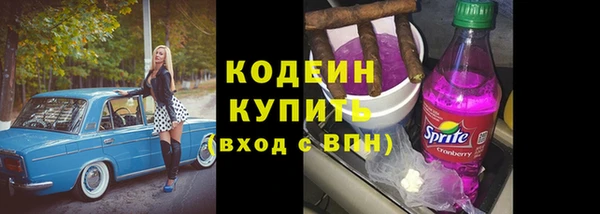 спиды Мегион