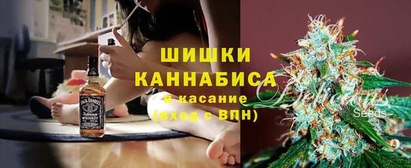спиды Мегион