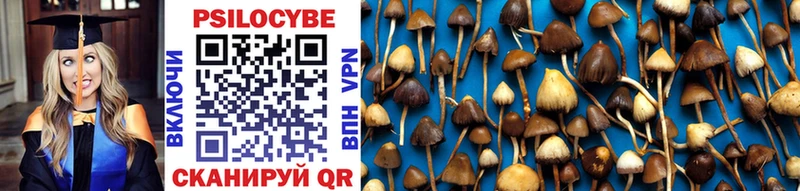 кракен вход  Оса  Галлюциногенные грибы Cubensis 